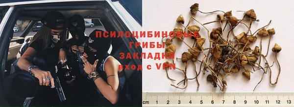 марки nbome Богородицк