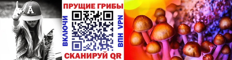 Галлюциногенные грибы Psilocybine cubensis Петропавловск-Камчатский