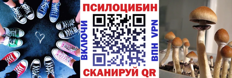 Галлюциногенные грибы мицелий  Петропавловск-Камчатский 